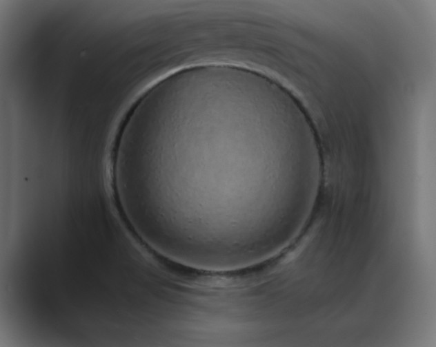 X0000089961517200706291220