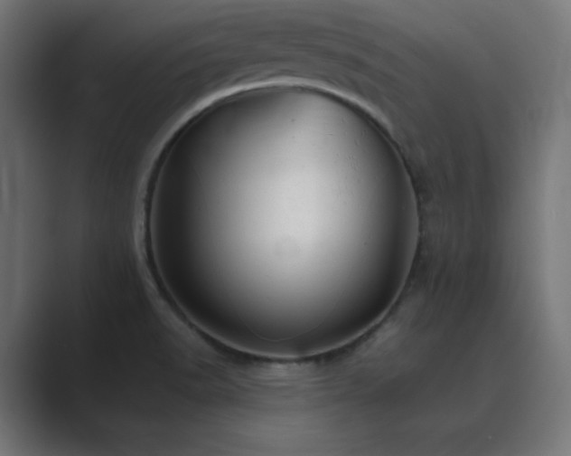 X0000089961518200706291220