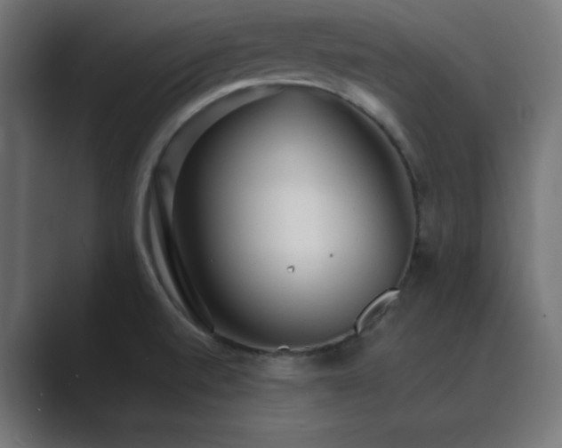 X0000089961520200706291220
