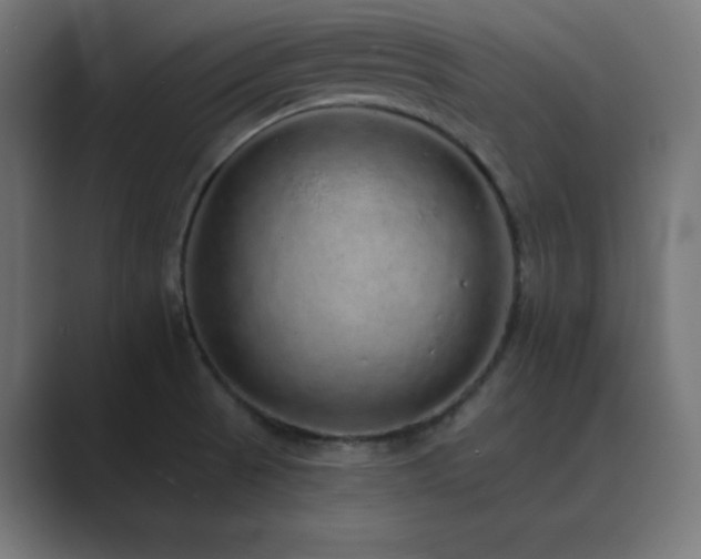 X0000089961521200706291220