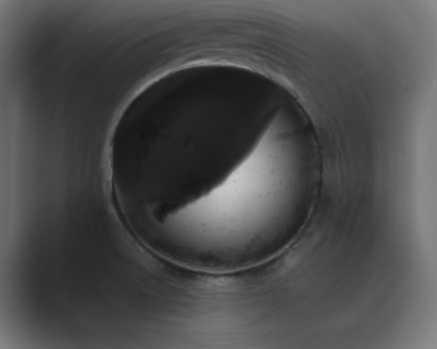X0000089961522200706291220