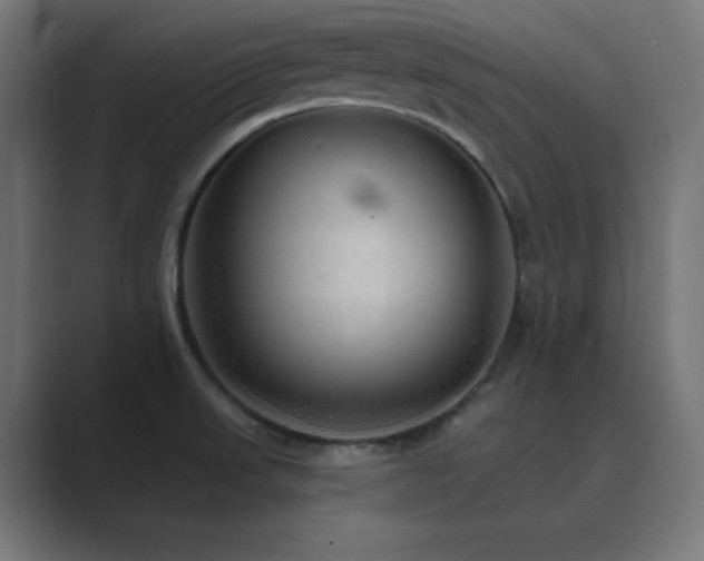 X0000089961523200706291220