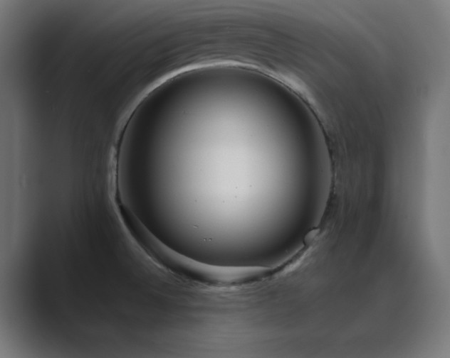 X0000089961524200706291220