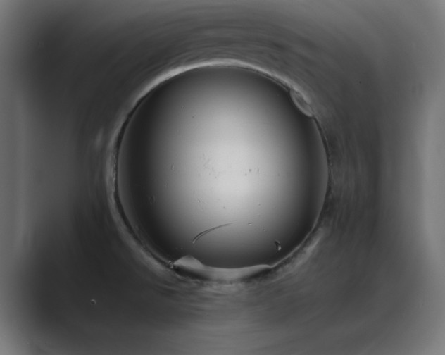 X0000089961526200706291220