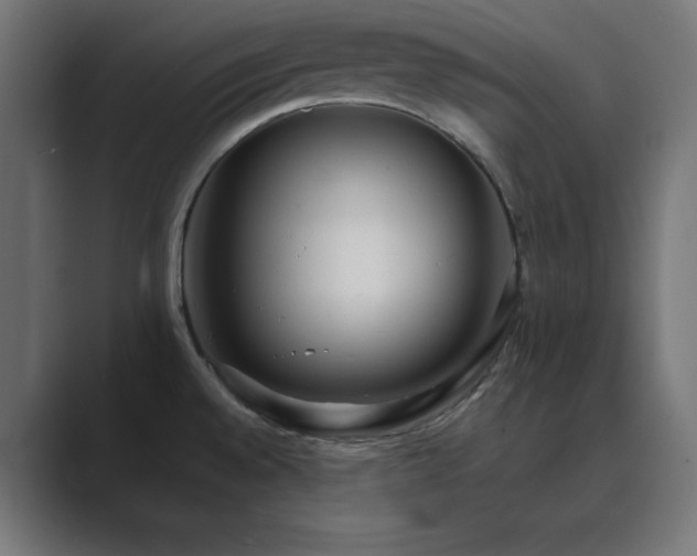 X0000089961528200706291220