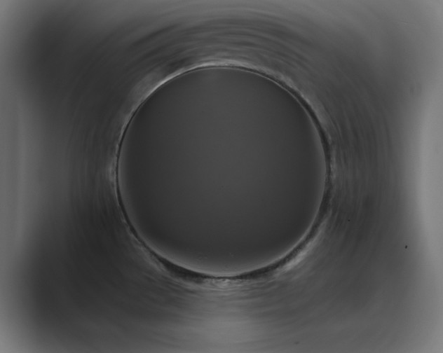 X0000089961529200706291220