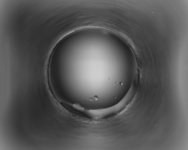 X0000089961530200706291220