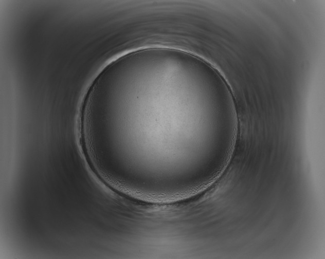 X0000089961531200706291220