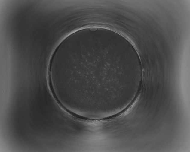 X0000089961533200706291220
