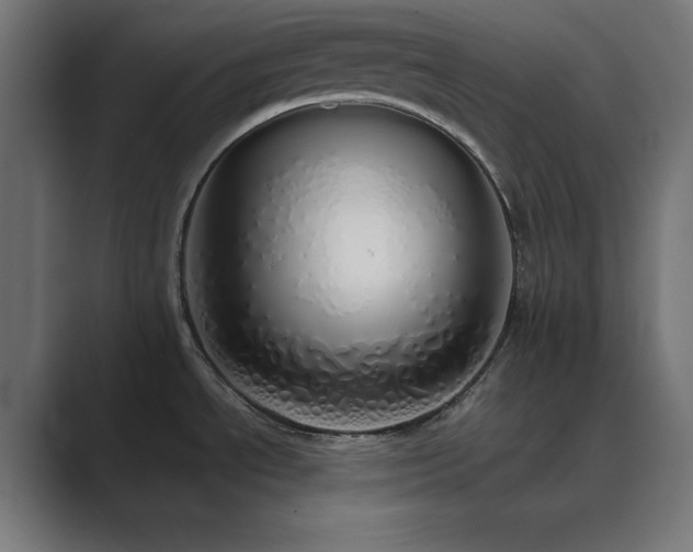 X0000089961534200706291220