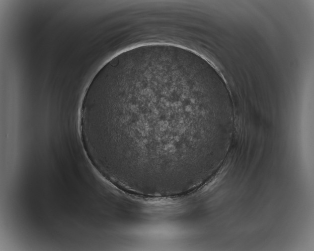 X0000089961535200706291220