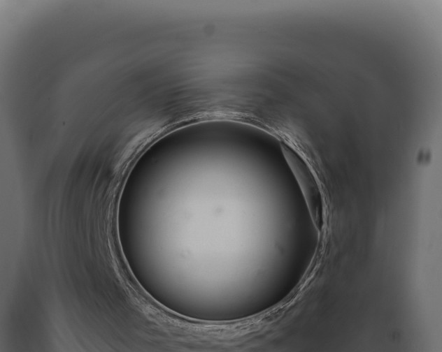 X0000089960001200707061149
