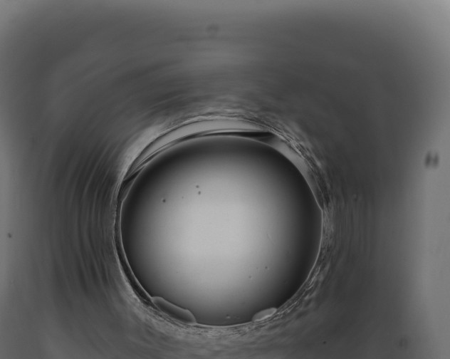 X0000089960003200707061149