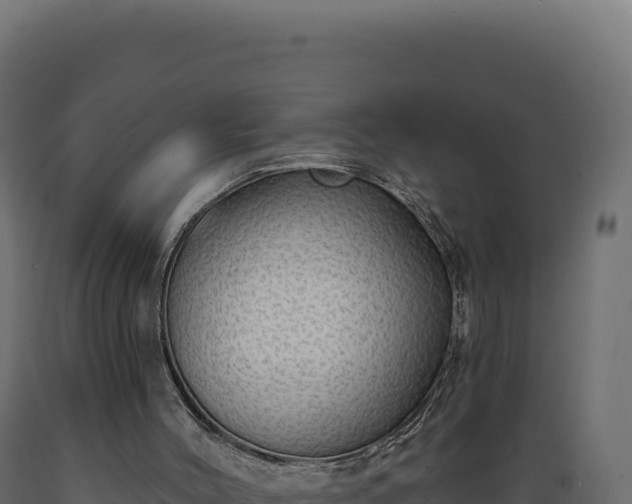 X0000089960004200707061149