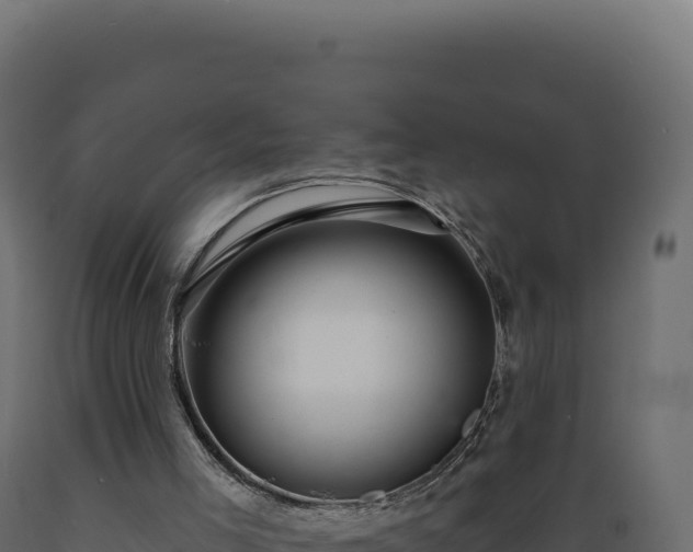 X0000089960005200707061149