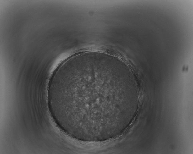 X0000089960006200707061149