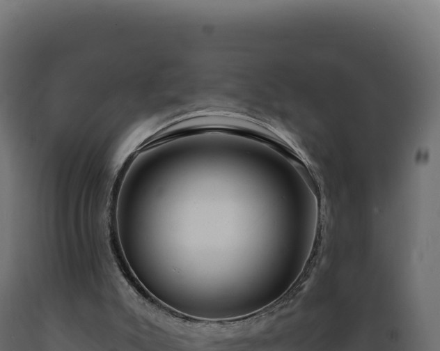 X0000089960007200707061149