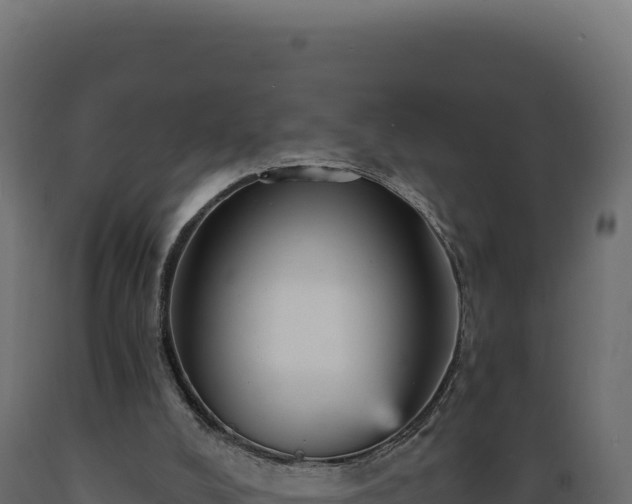 X0000089960008200707061149