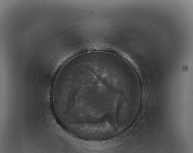X0000089960010200707061149