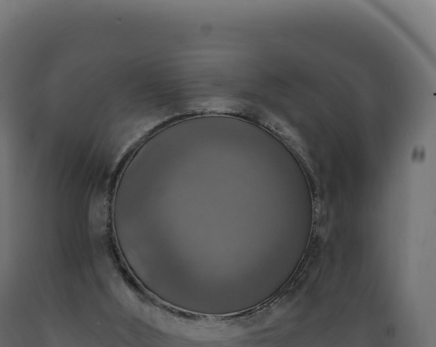 X0000089960012200707061149