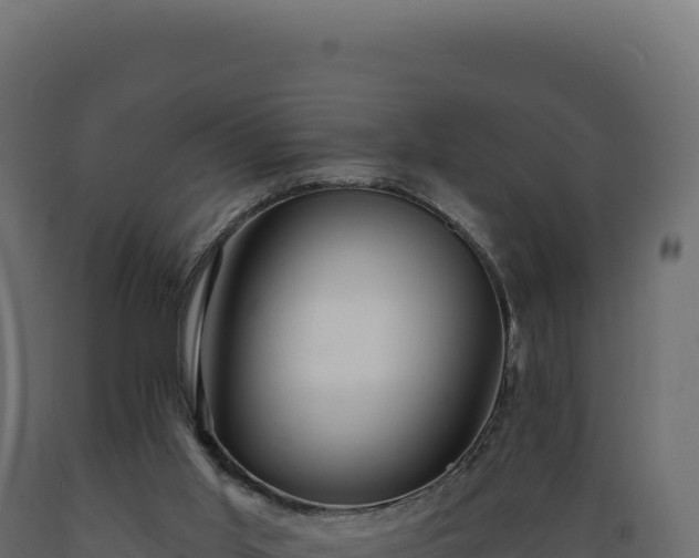 X0000089960013200707061149