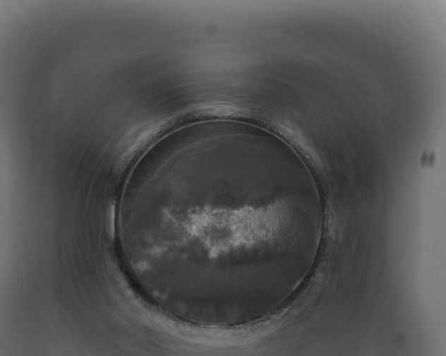 X0000089960014200707061149