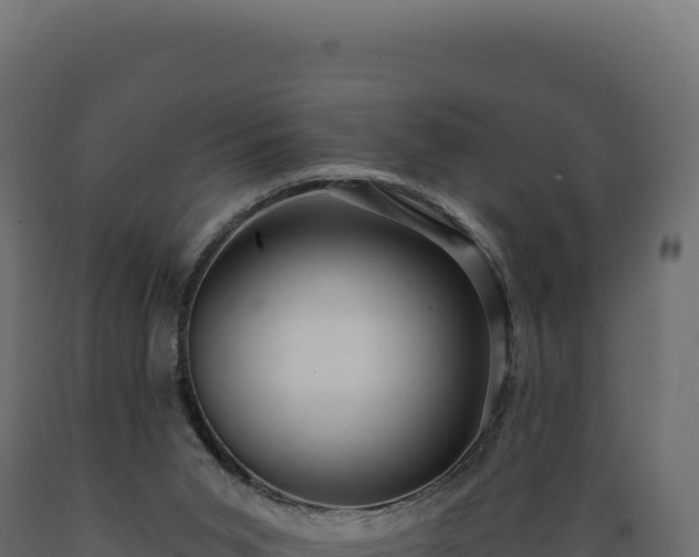 X0000089960015200707061149