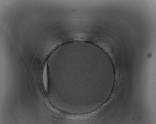 X0000089960017200707061149