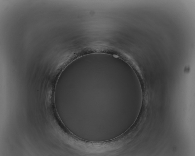 X0000089960018200707061149