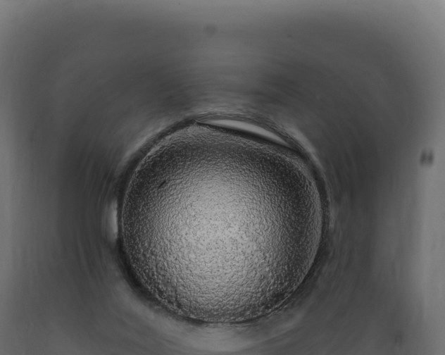 X0000089960020200707061149