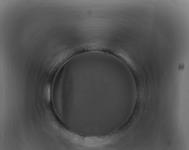 X0000089960022200707061149