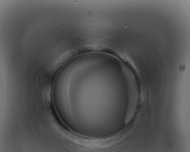X0000089960023200707061149