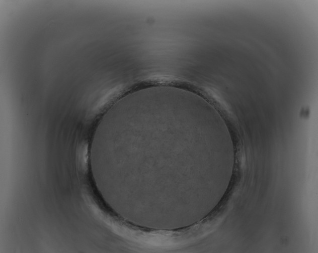 X0000089960024200707061149