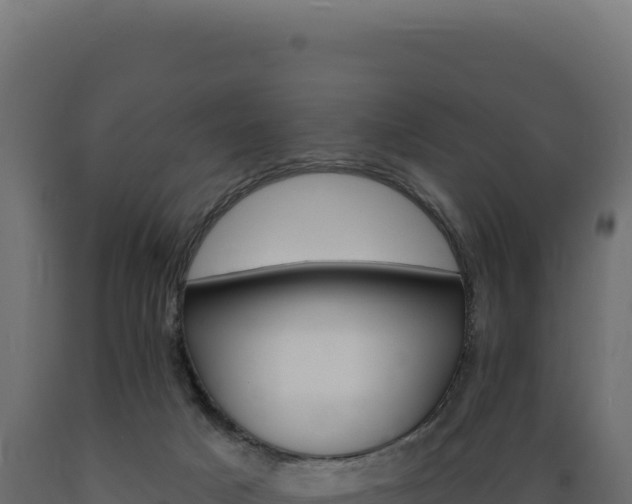 X0000089960025200707061149