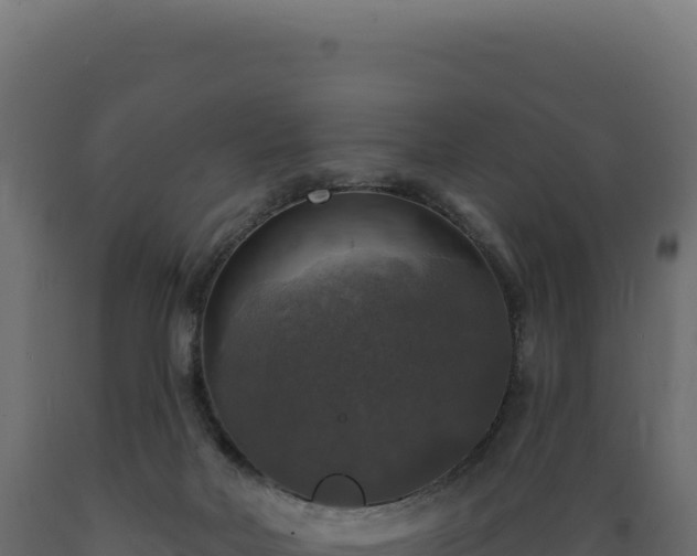X0000089960026200707061149