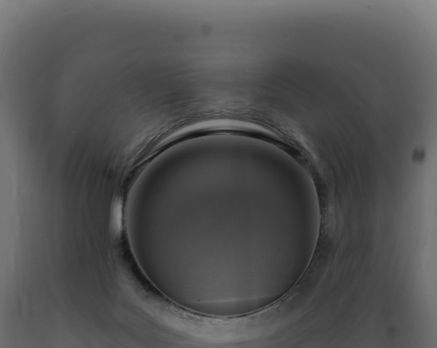 X0000089960027200707061149