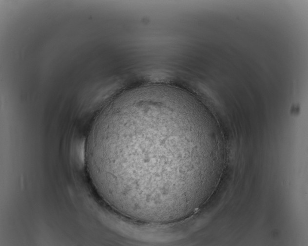 X0000089960028200707061149