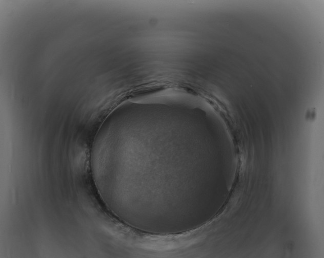 X0000089960029200707061149