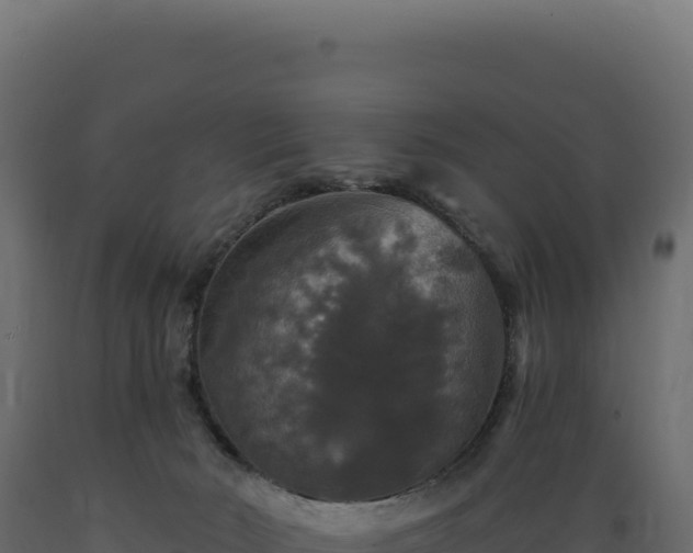 X0000089960030200707061149