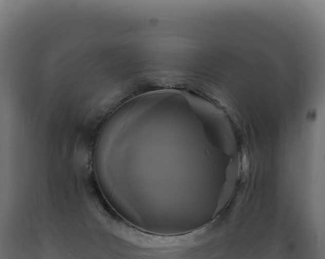 X0000089960031200707061149