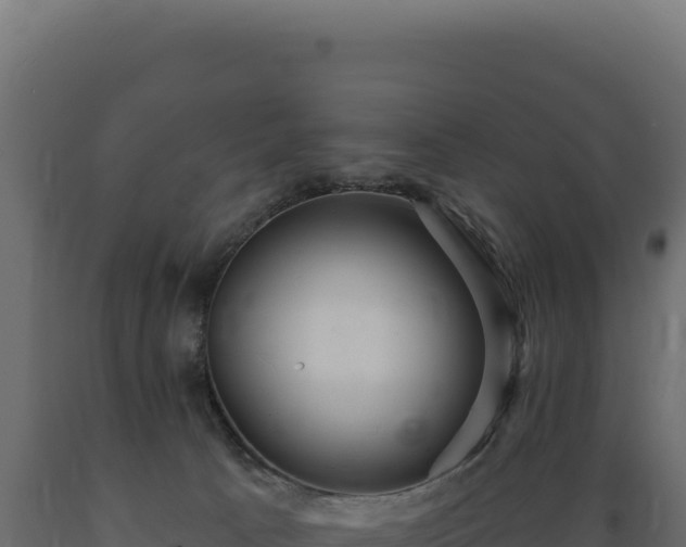 X0000089960033200707061149
