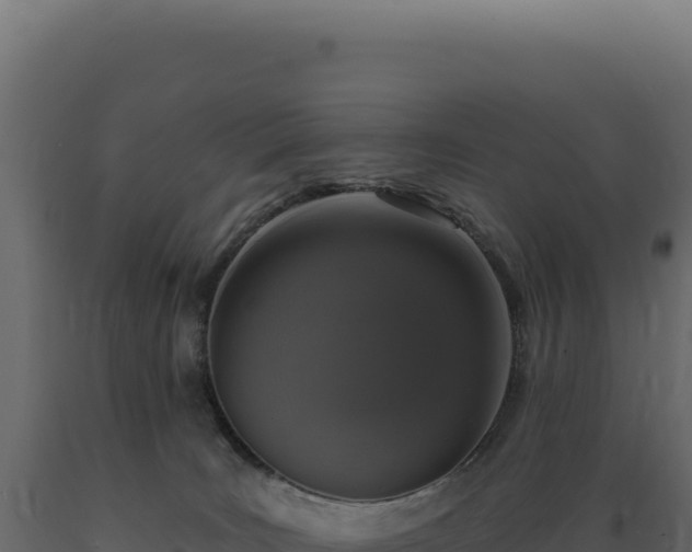 X0000089960035200707061149