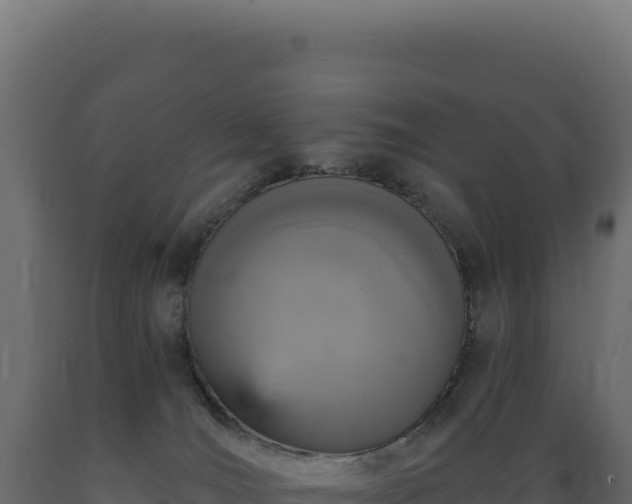X0000089960036200707061149
