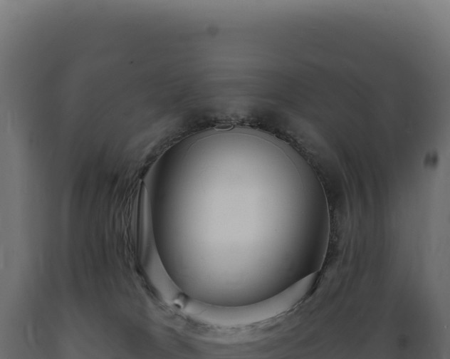 X0000089960037200707061149