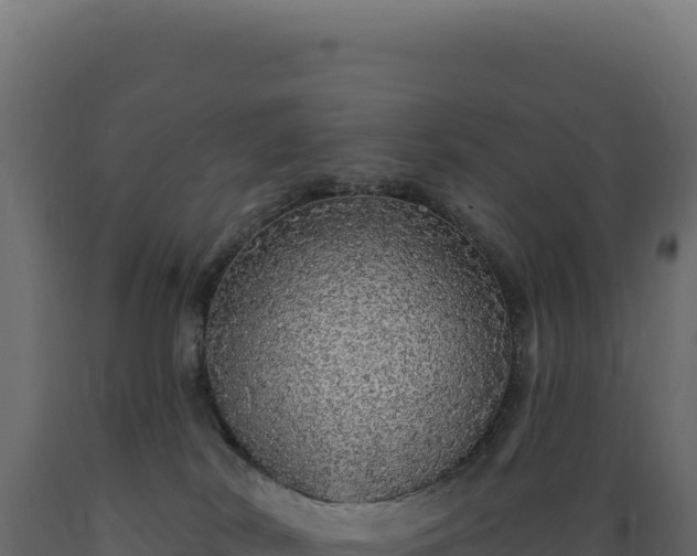 X0000089960038200707061149