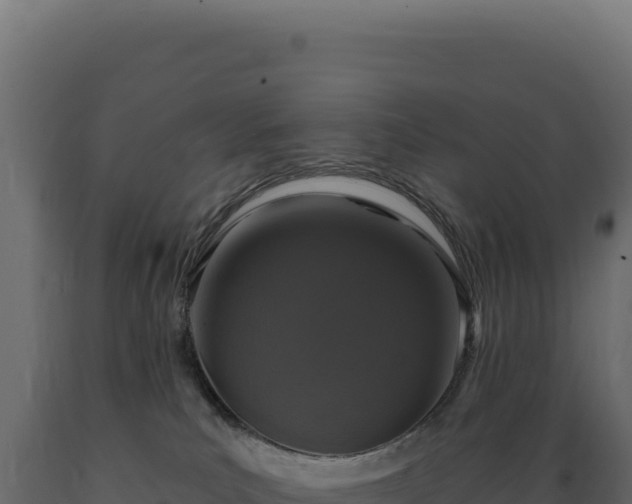 X0000089960039200707061149