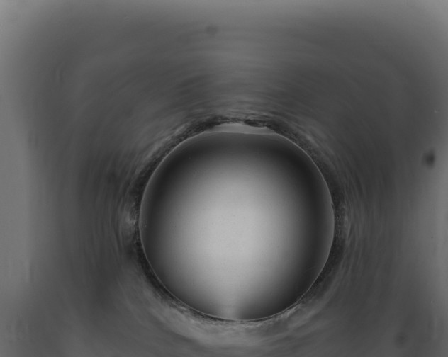 X0000089960040200707061149
