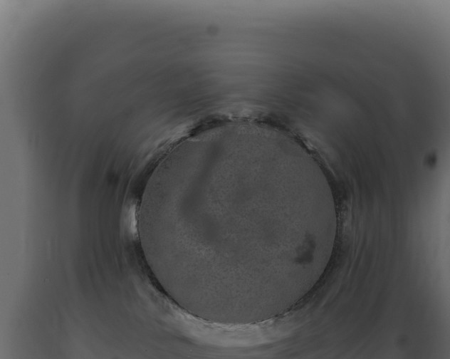 X0000089960042200707061149