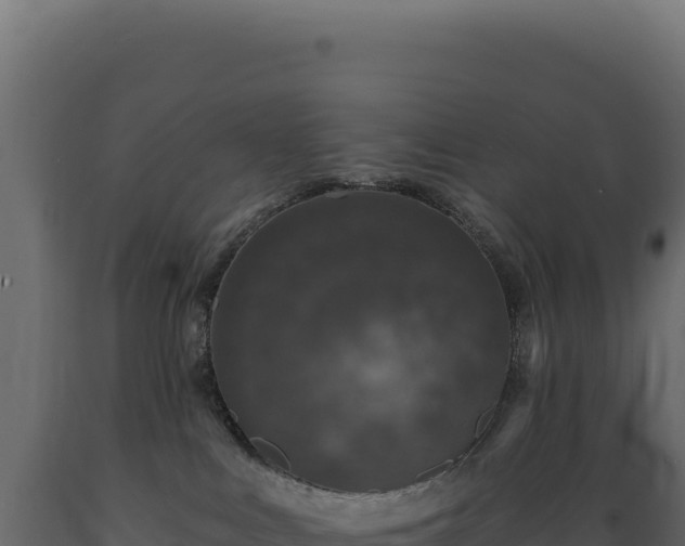X0000089960043200707061149