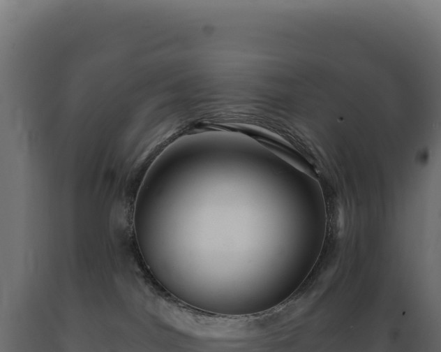 X0000089960044200707061149